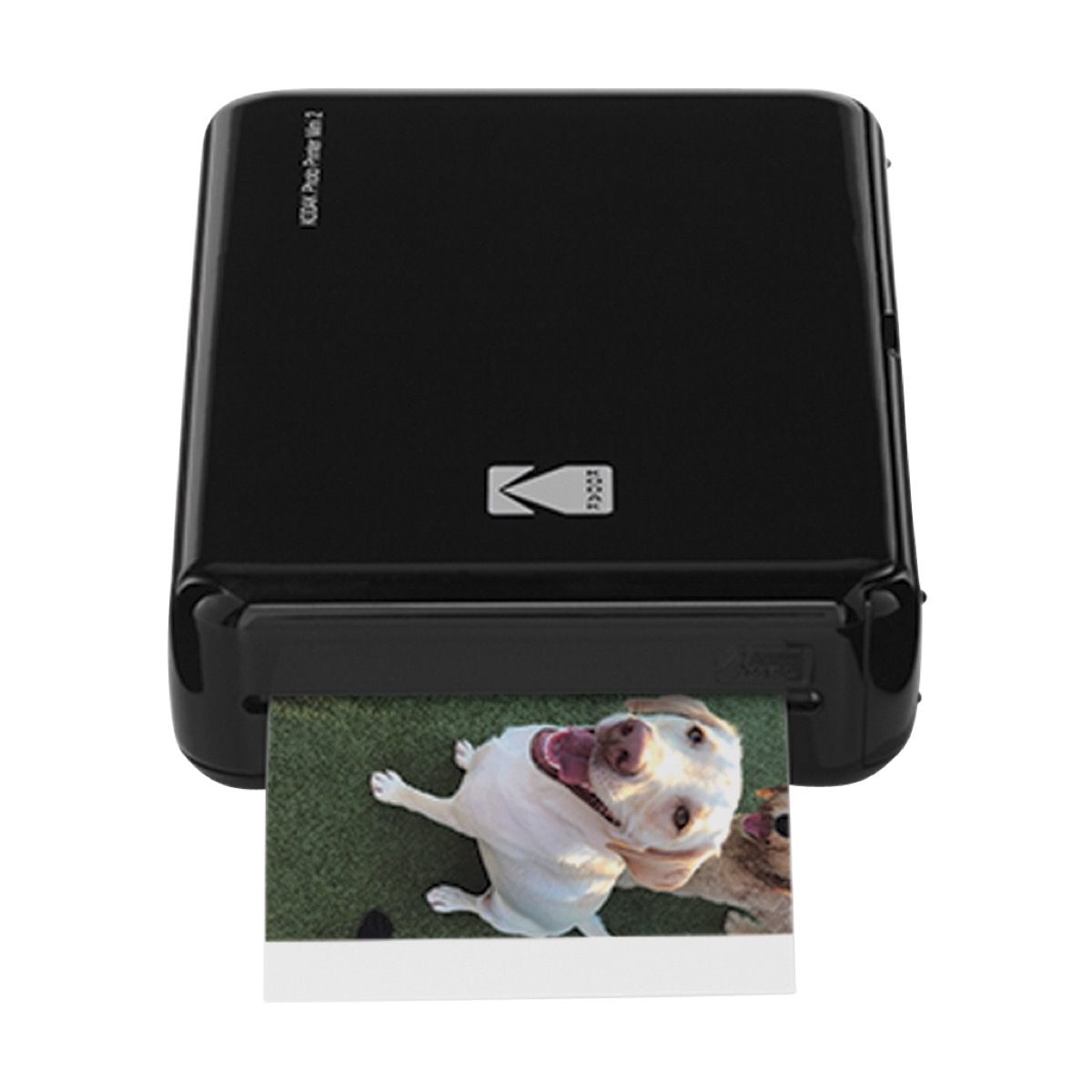 black printer printing photo of white dog