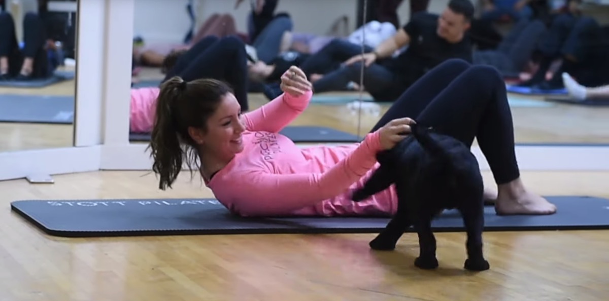 pilates with puppies