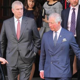 Prince Charles and Prince Andrew seen leaving The Malaria Summit in London