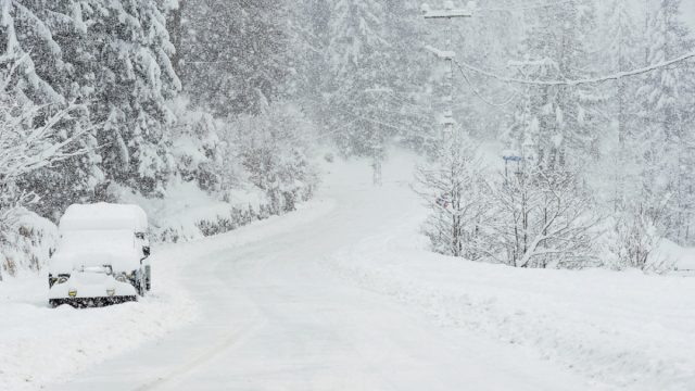 snow covers street, trees, and single car on open road