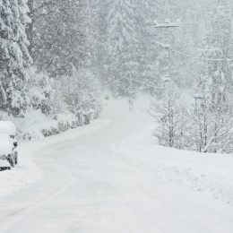 snow covers street, trees, and single car on open road