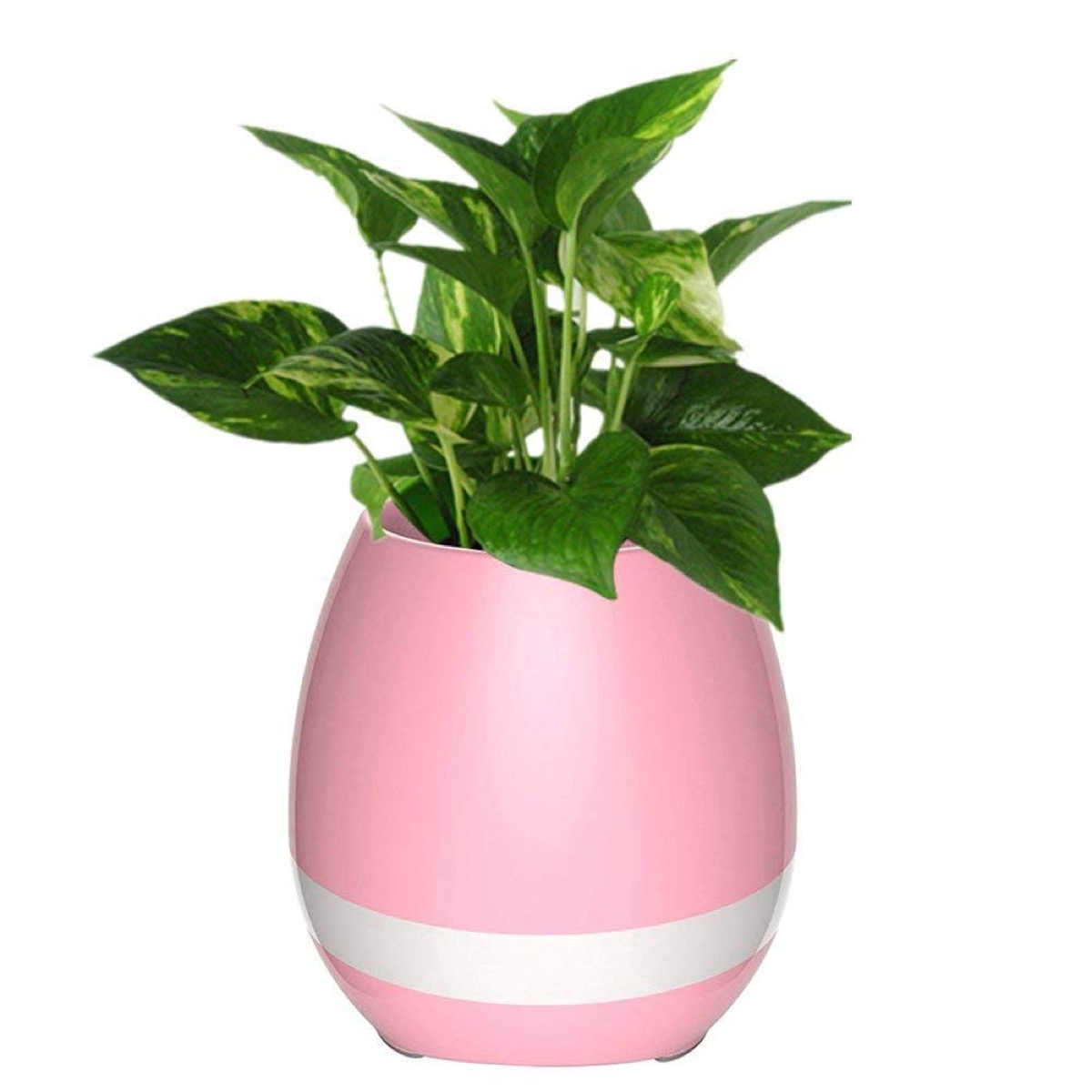 pink speaker with faux succulent on top