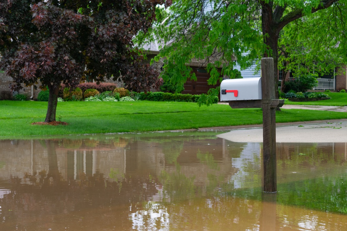 flooded lawn with trees and white mailbox