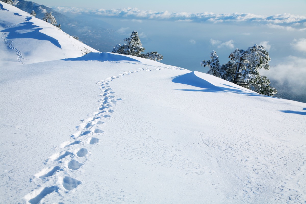 footprints on snowy mountain