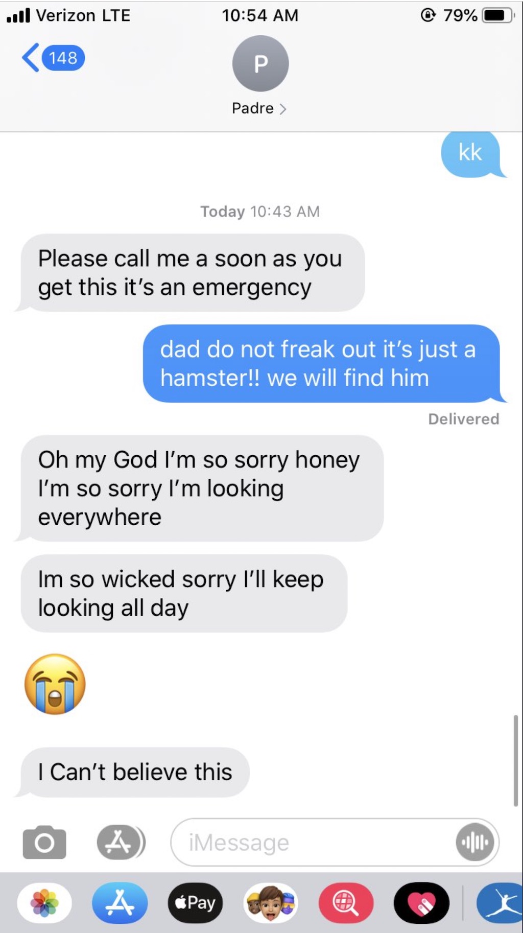 dad loses hamster