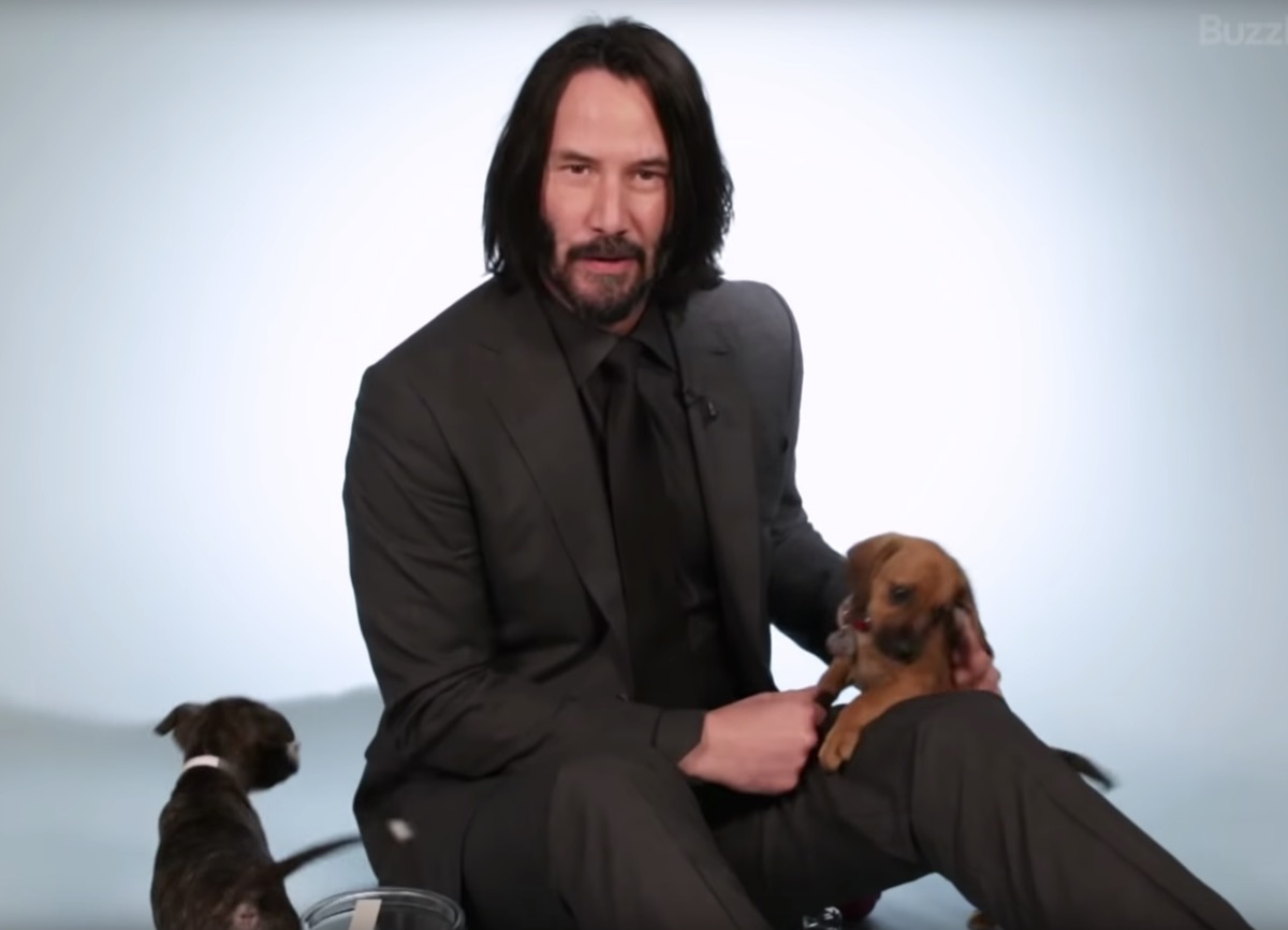 keanu reeves playing with puppies