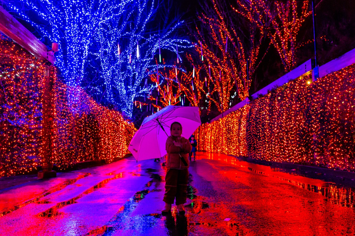 little girl with umbrella at the portland winter light festival
