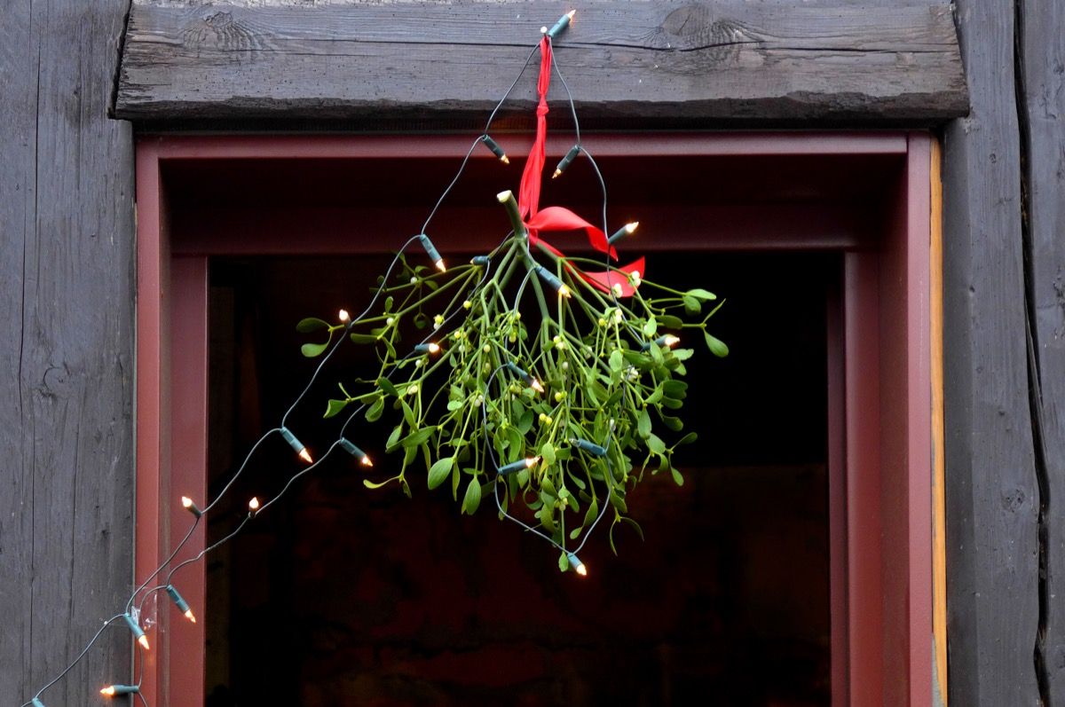 This Is The History Of Why We Hang A Mistletoe At Christmas — Best Life