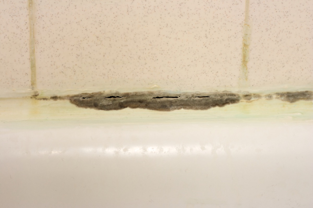 grout with mold on it