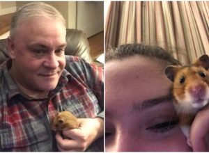 dad loses hamster viral texts