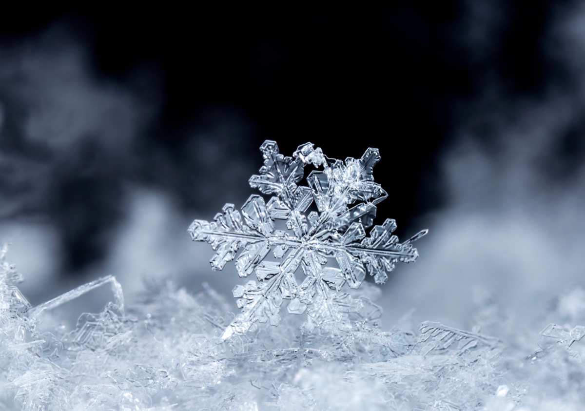 snowflake crystal on snow