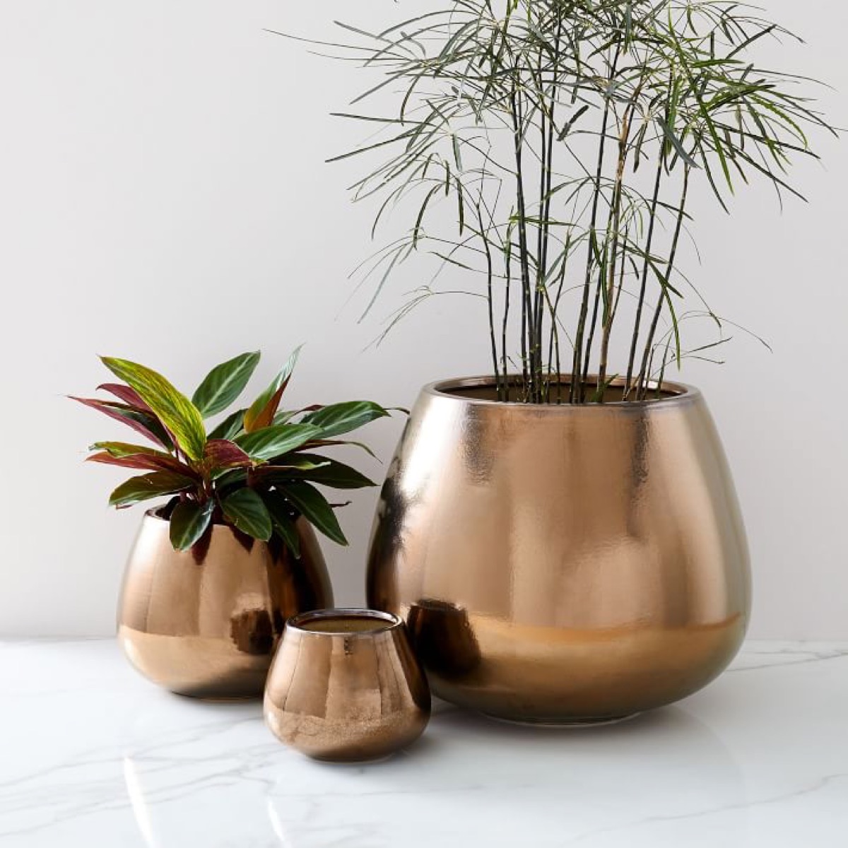 three burnt gold planters with plants