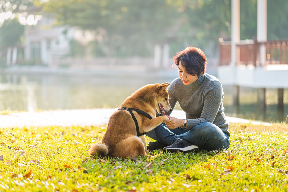 asian woman training dog outdoors
