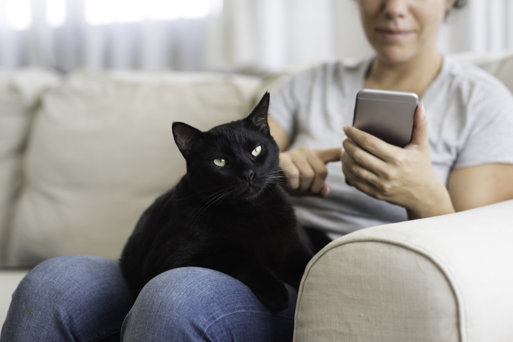 a young woman sitting on a couch with her black cat and using a smart phone.