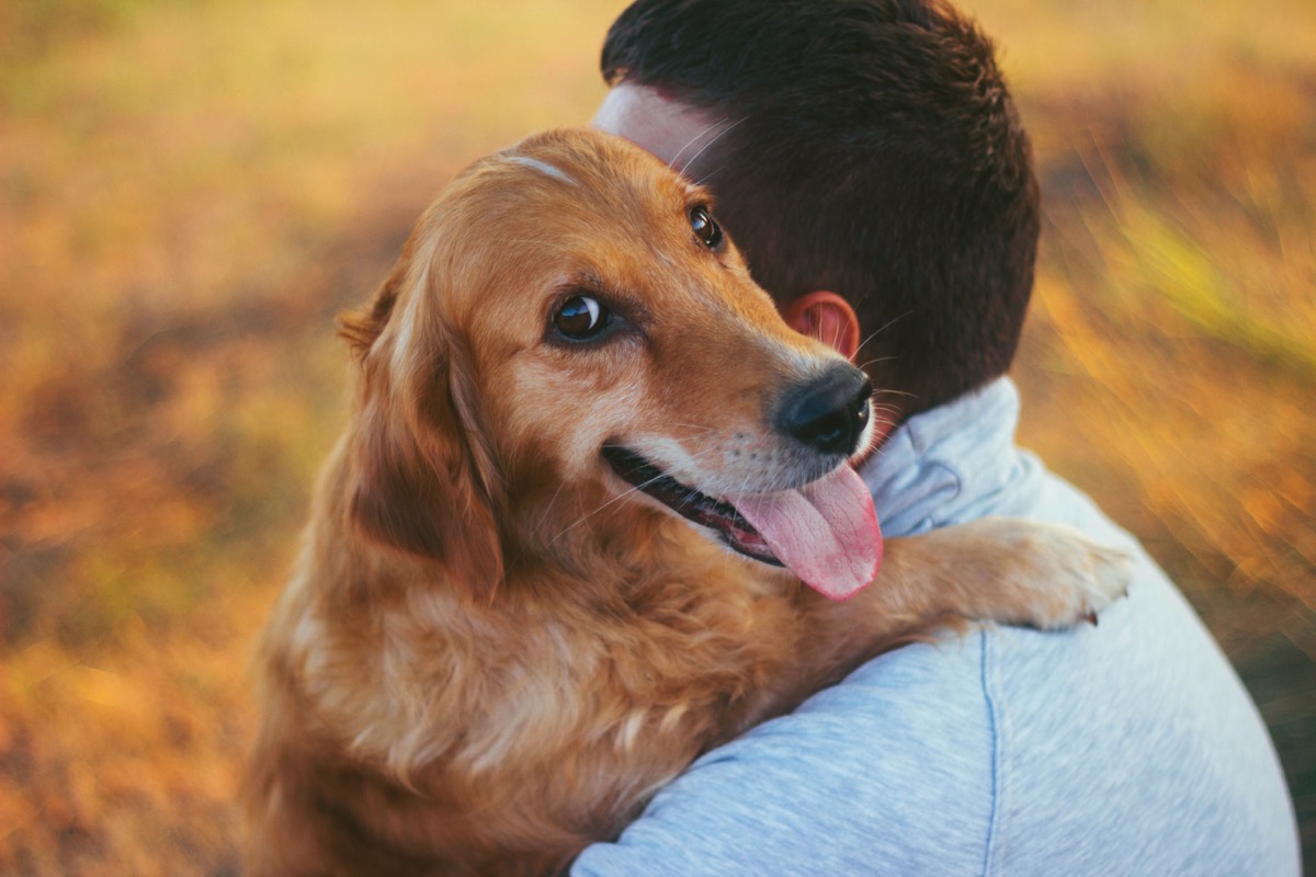 guy and his dog, golden retriever, nature,hug,autumn,spring,summer