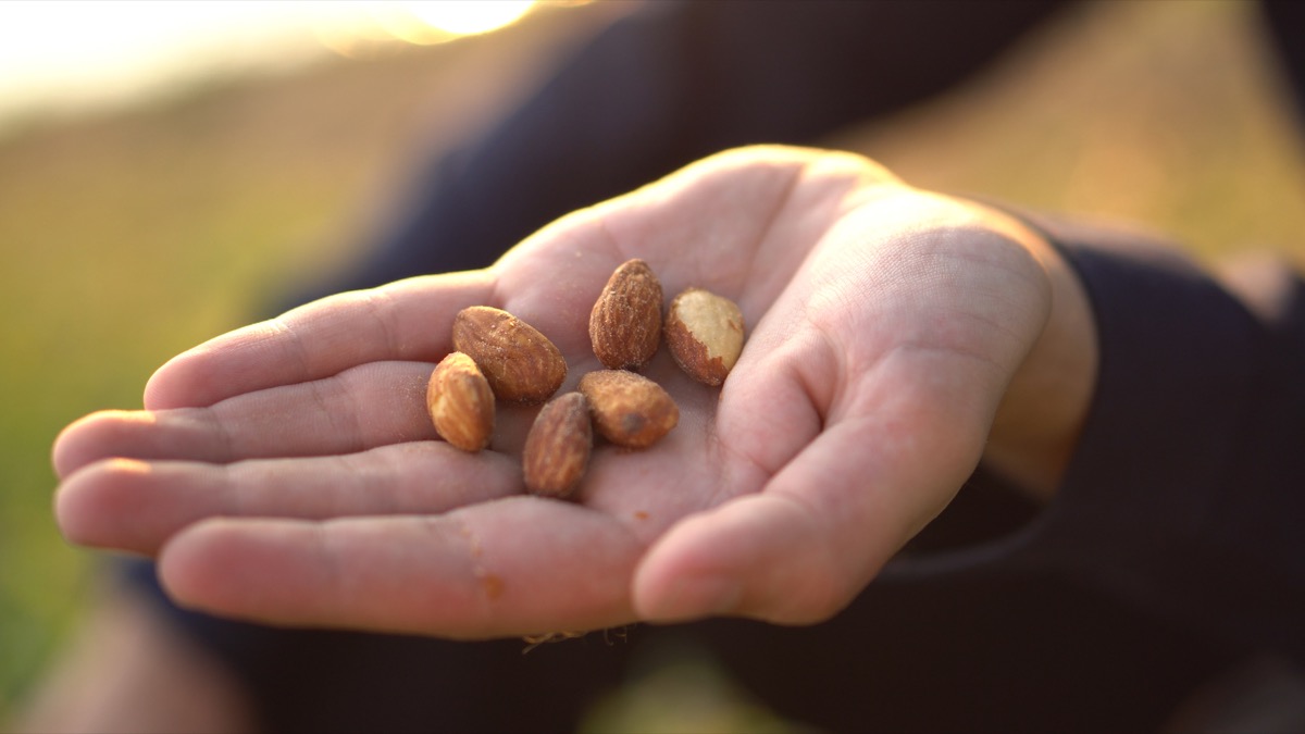 Person eating almond nuts from the palm of their hand