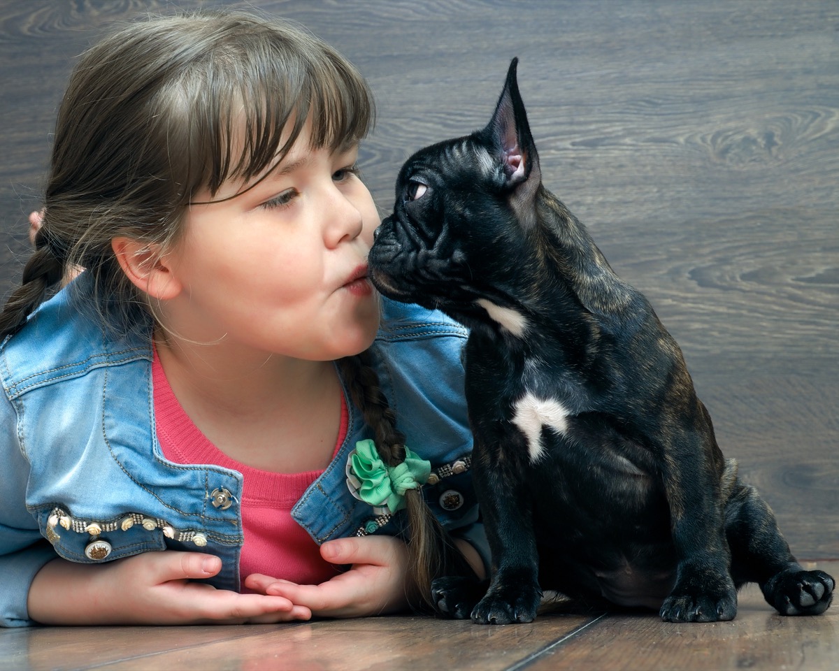 young girl blowing in french bulldog's face