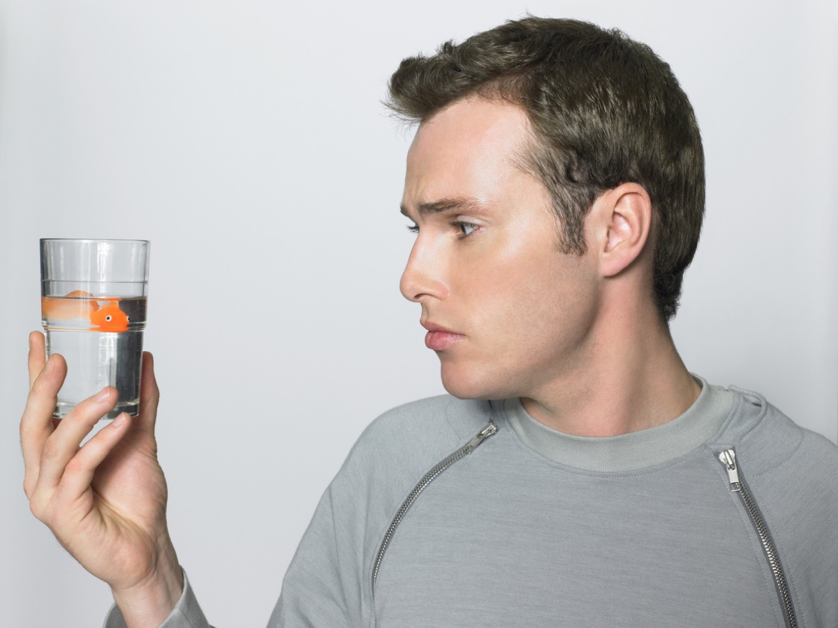Man looking at goldfish in a glass about to drink it