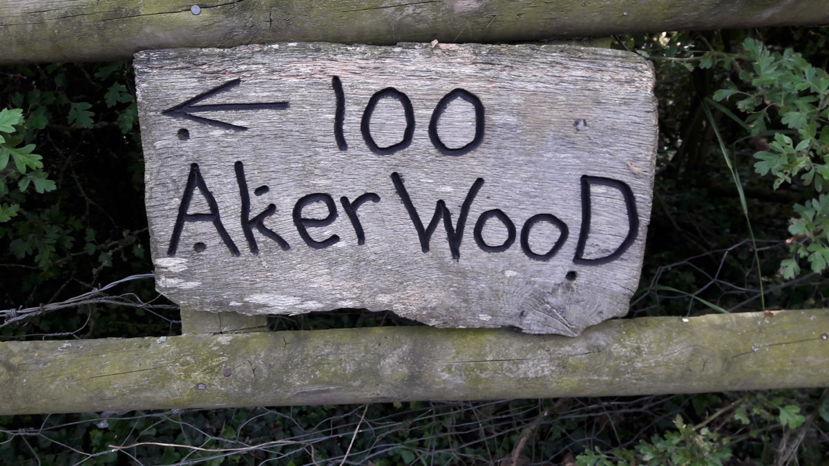 hundred acre wood sign