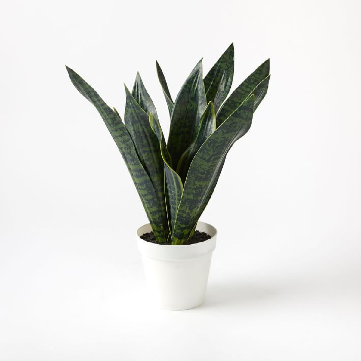 faux snake plant in white planter