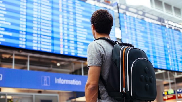 man in airport looking at his flight details