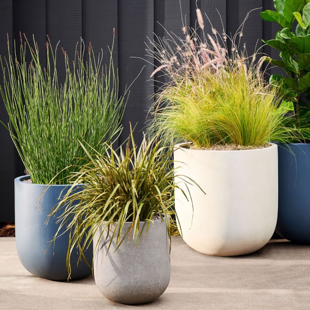 ceramic planters outdoors