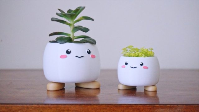 cute planters with faces on them