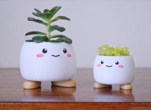 cute planters with faces on them