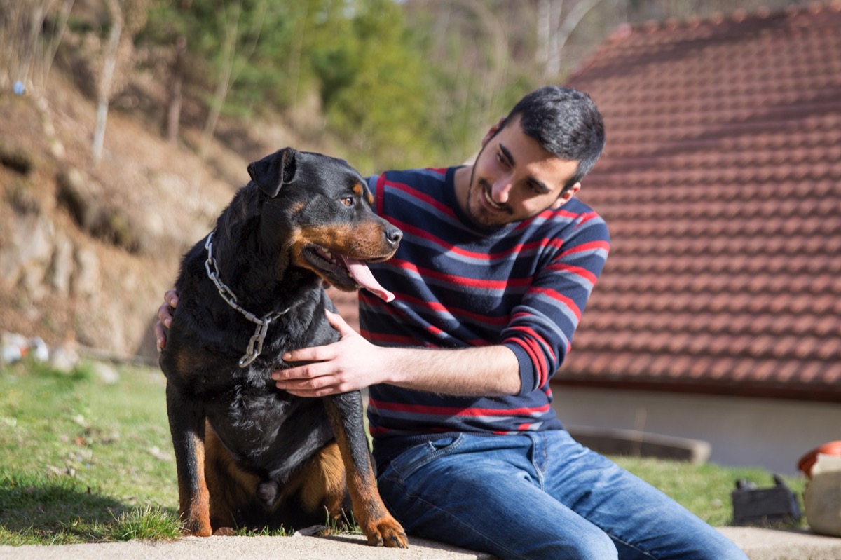 beautiful rottweiler and his owner enjoying the spring sunny day in the garden.