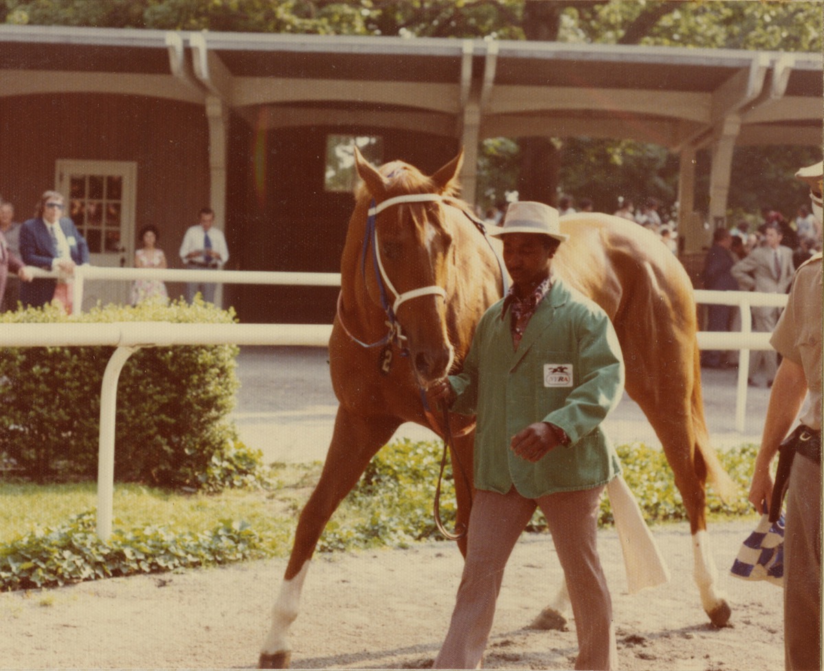 Secretariat horse at Belmont Stakes
