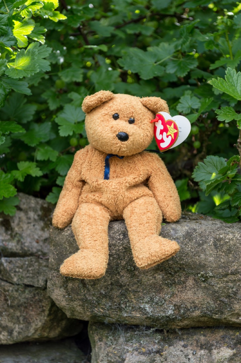 beanie baby bear sitting outside in front of a tree