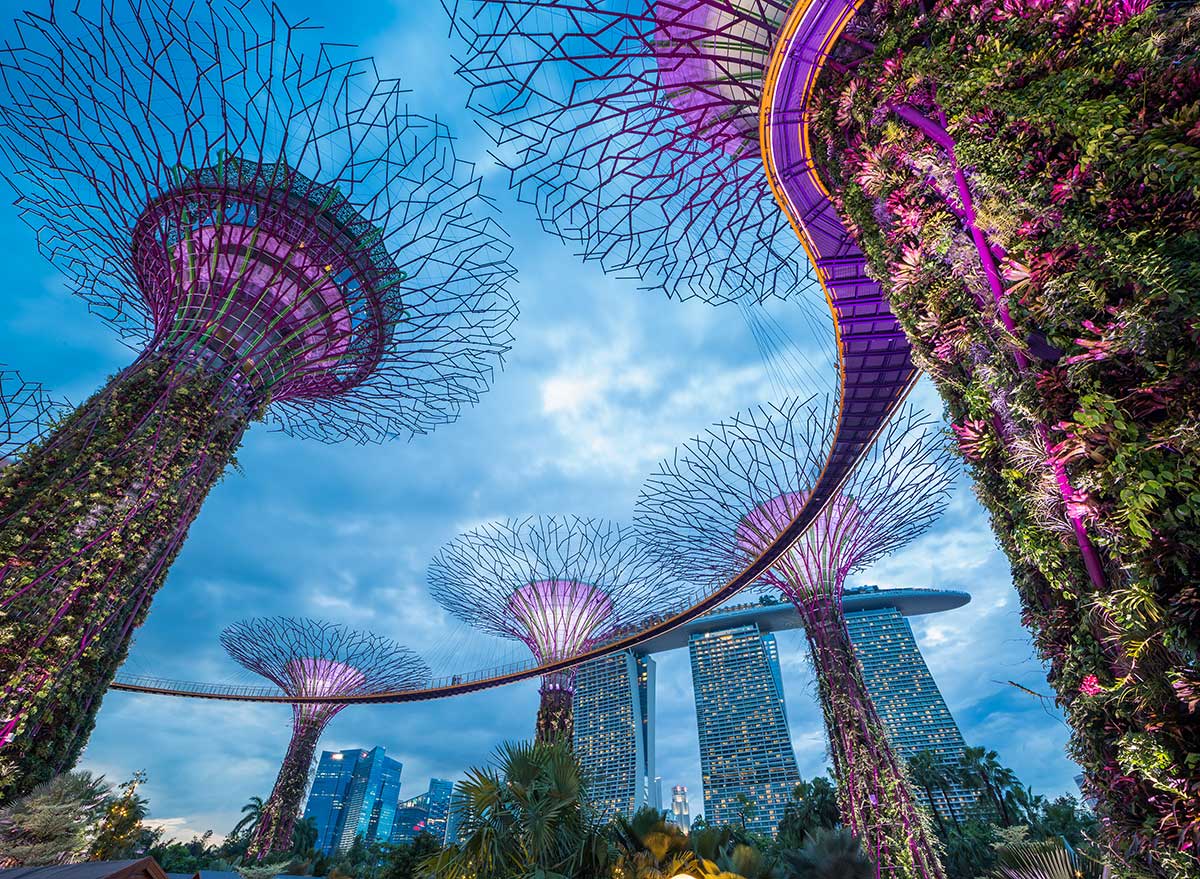 towers of plants touch the sky in a singapore park