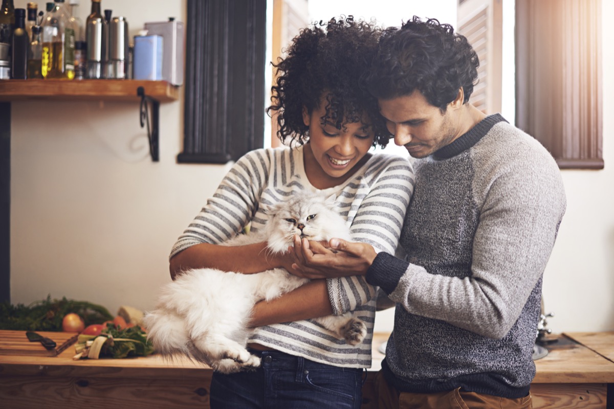 shot of a couple with their cat at home