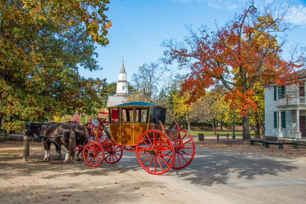 horse drawn carriage along the street in Williamsburg in the Fall.