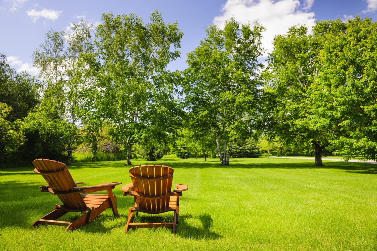 Backyard with green grass and trees adirondack chairs