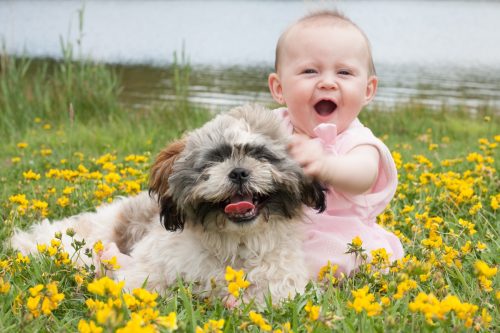 Un câine și un copil stând într-un câmp de flori