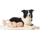 Dog and baby posing