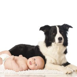 Dog and baby posing