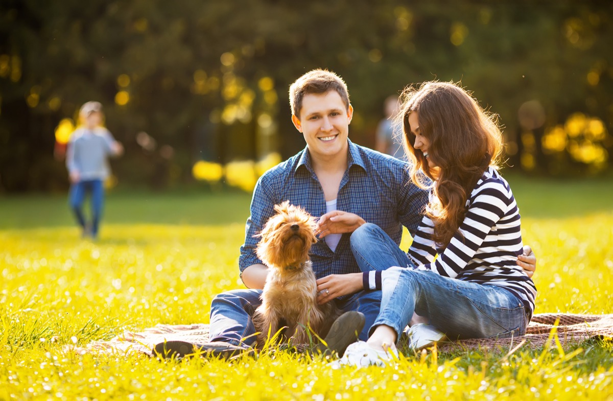 Couple hanging out with their dog in the park