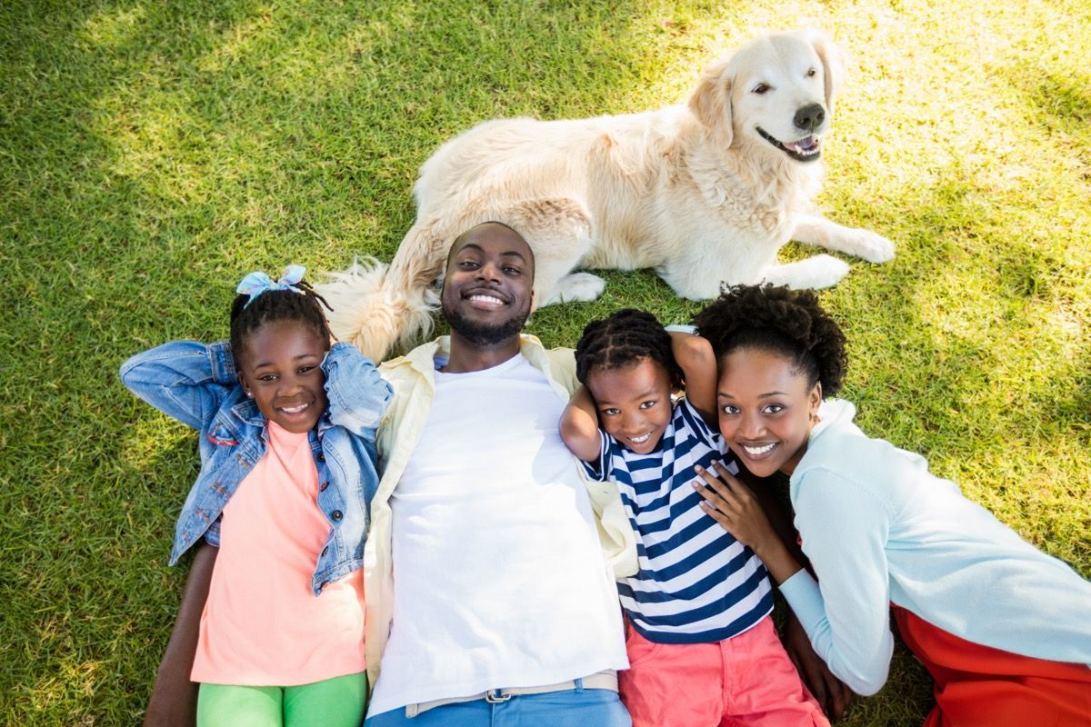 Golden retriever with store family