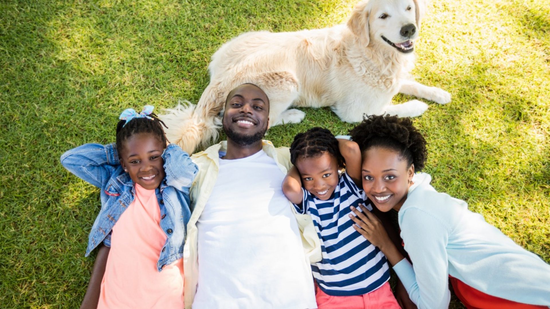 These Are the Best Family Dogs, According to Vets — Best Life
