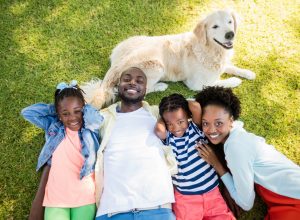 Vets Reveal the Best Dog Breeds for Families