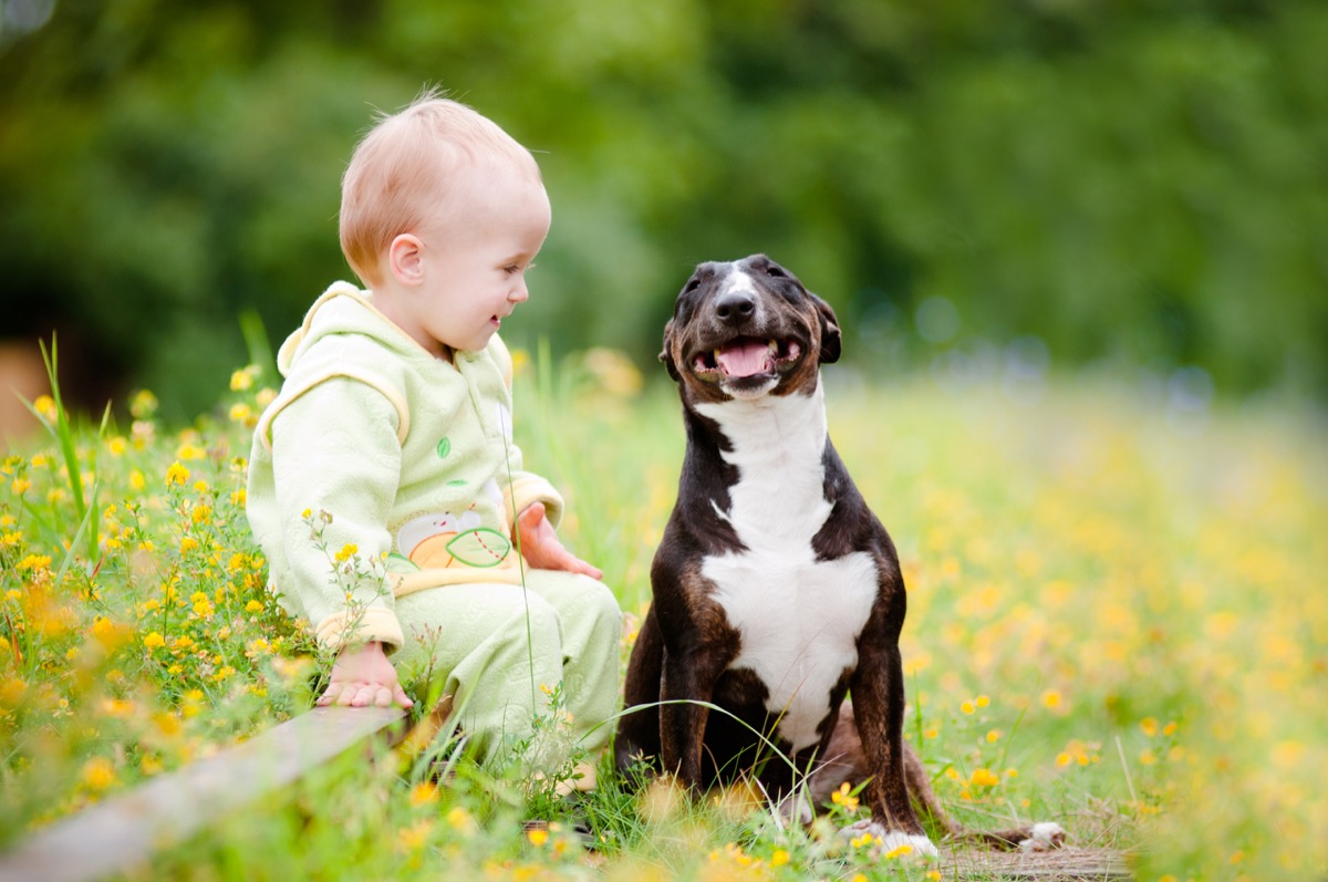 Funny dog and baby
