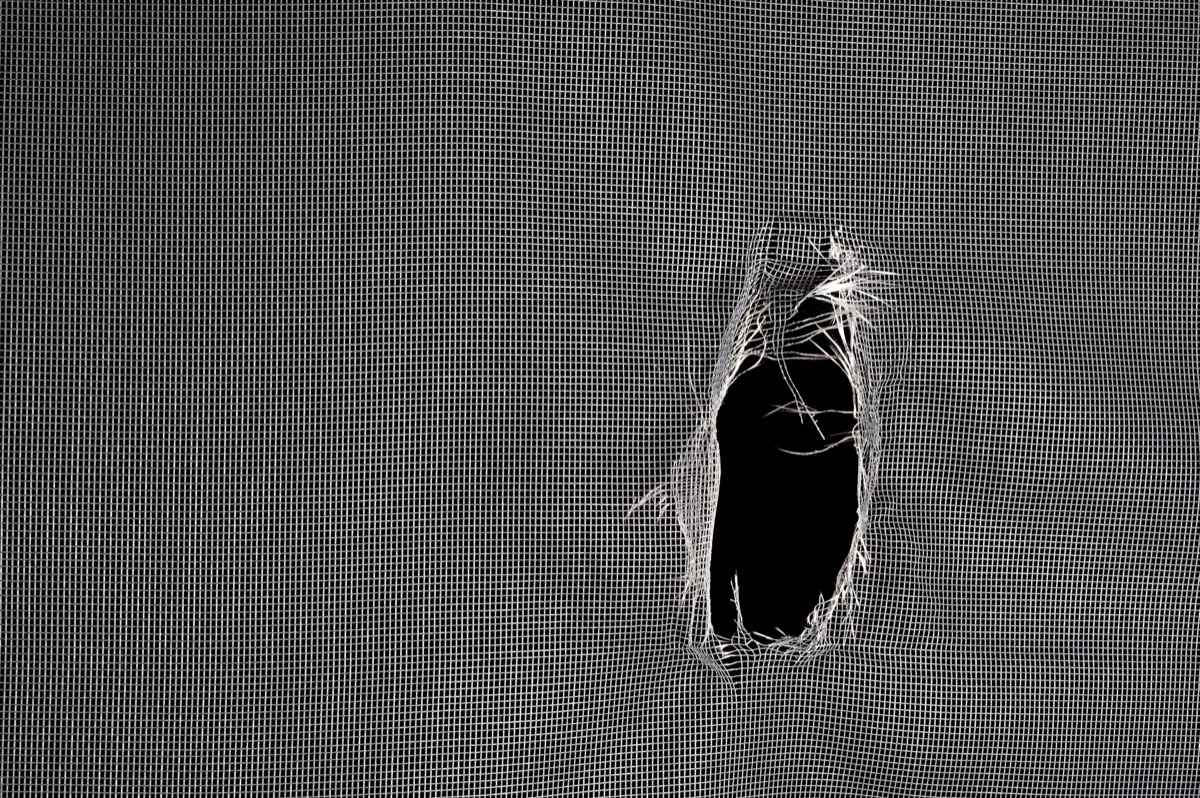 window screen torn with a big hole against a black background.