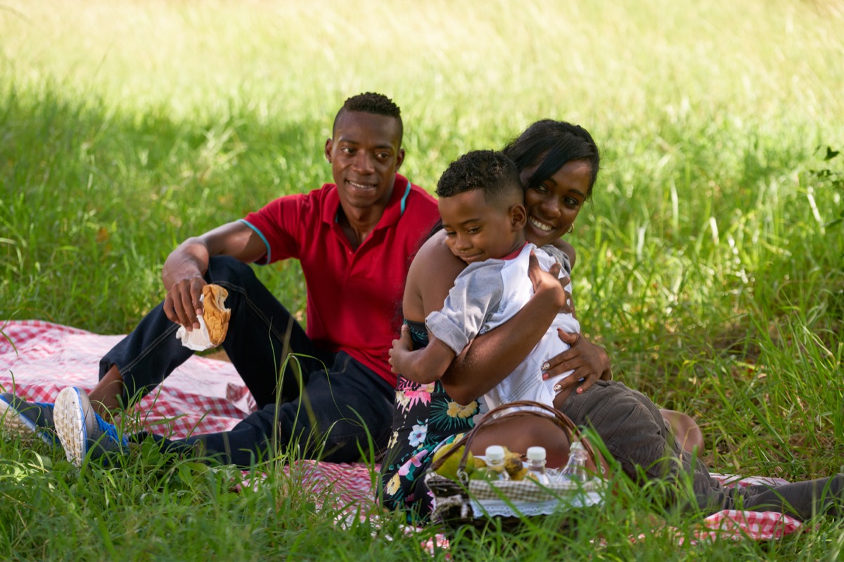 Family having a picnic