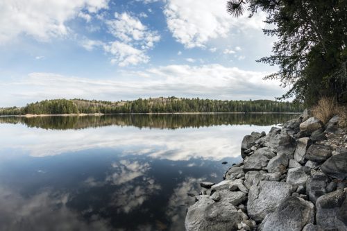 Landscape view of a shore at Voyageurs National Park in northern Minnesota