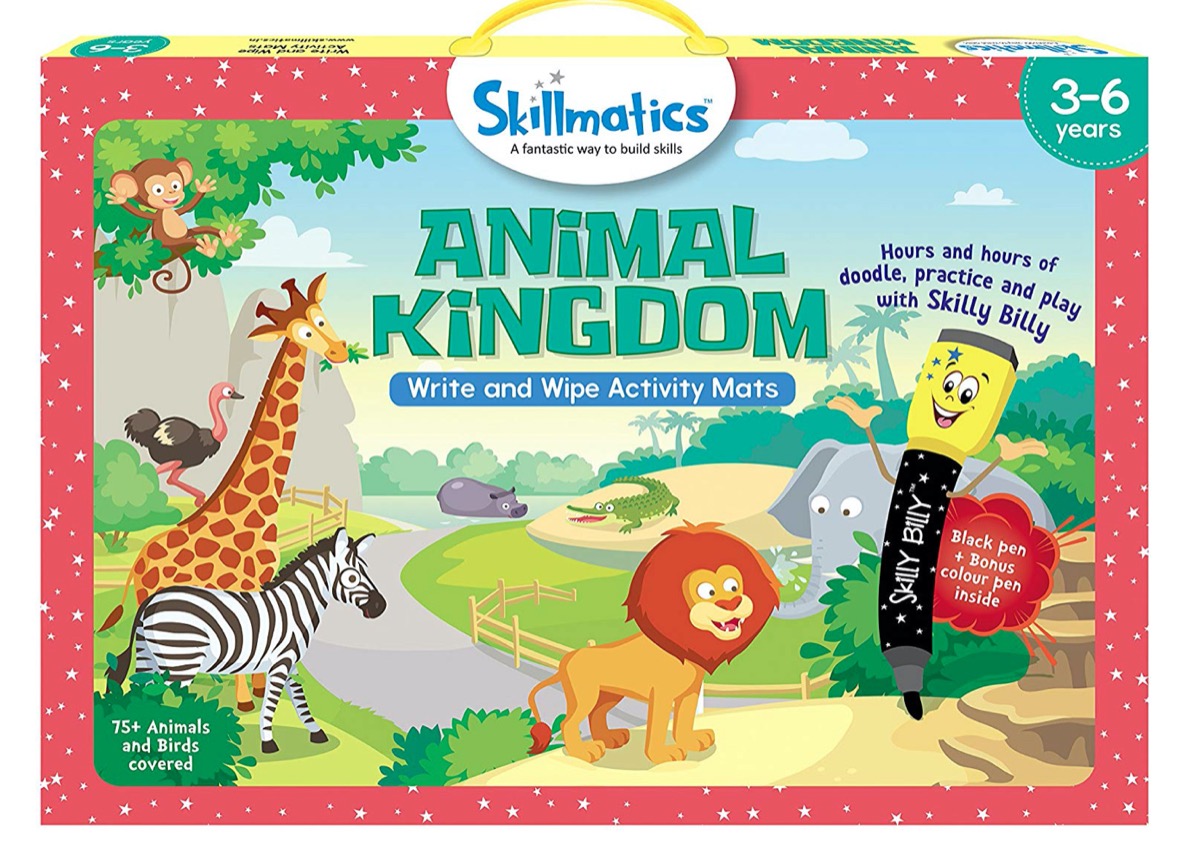 box with "skillmatics animal kingdom" and pictures of animals