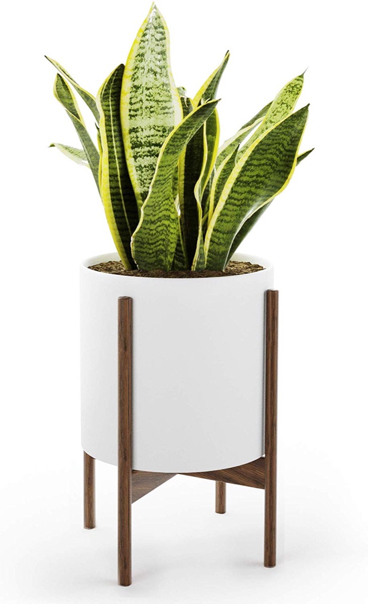 White modern planter with snake plant