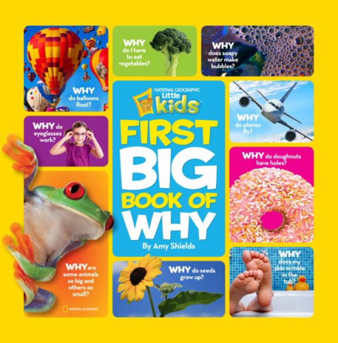 Book cover: "Kids first big book of why"