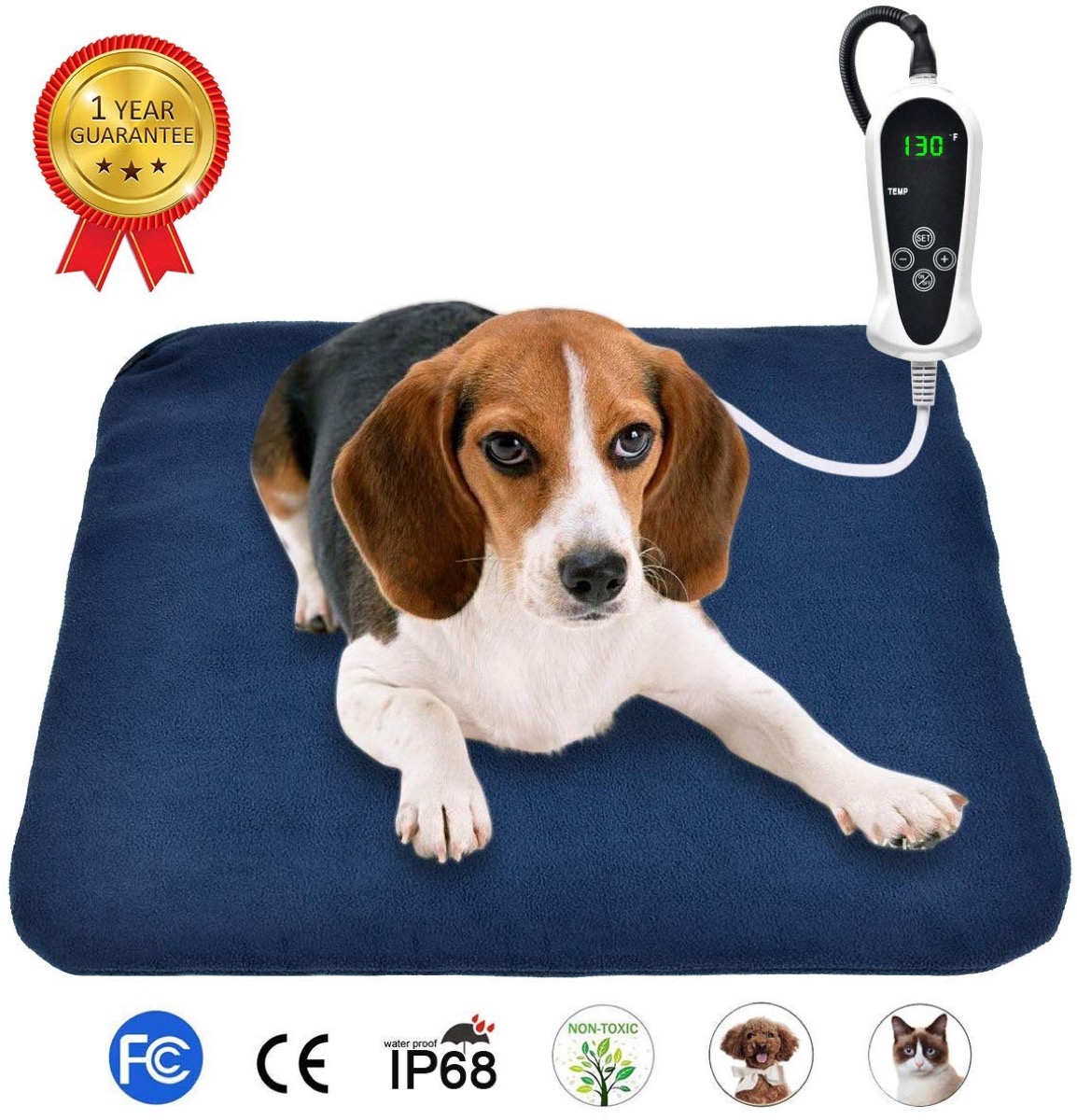 Beagle sitting on blue heating pad